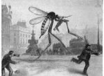 giant mosquito.jpg