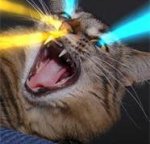 lasercat3.jpg