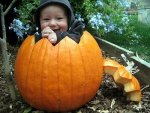 baby_pumpkin_large.jpg