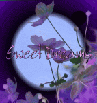 purple-swt-drms.gif