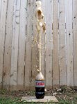 mentos-diet-coke-eruption.jpg