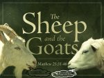 sheep-and-the-goats custom.jpg