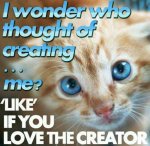 Love The Creator.jpg