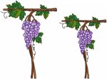 grape-vine-font-letter-t-3.jpg