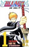 220px-Bleach_cover_01.jpg