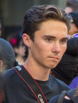 Screenshot_2018-11-28 David Hogg (activist) - Wikipedia.png