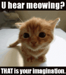 cat-meow-cat-meme-cat-gifs-Favim.com-3209150.gif