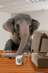 elephant1.gif