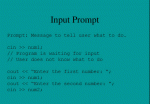 INPUT PROMPT.GIF