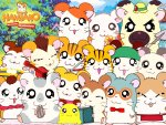 1997_-_Hamtaro.jpg