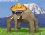 walking-elephant.gif