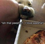 peesha.jpg