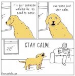 stay calm.jpg