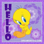 hello-tweety.gif