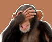 facepalm-monkey.jpg