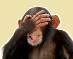 facepalm-monkey.jpg