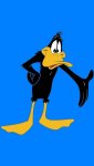 daffy-duck.jpg