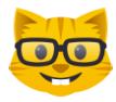 Nerd Cat.png