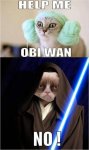 funny-star-wars-grumpy-cat.jpg