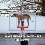 regret-nothing-18.jpg