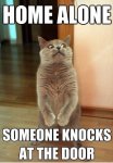 Home-alone-funny-cat-meme.jpg