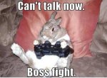 funny-animal-captions-005-020.jpg