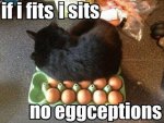 if-I-fits-i-sits1.jpg