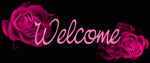 rainbow-fl-welcome.gif