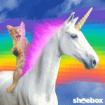 CatUnicorn.gif