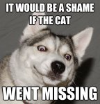 b9856ca26d443ed78f2c73253a92e490--so-funny-funny-dogs.jpg