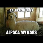 alpacamybags.jpg