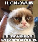 Grumpy-Cat-4.jpg