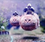 cat troopers.jpg