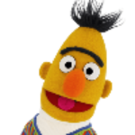 bert.png