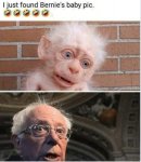 bernie.jpg