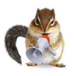 funny-animal-chipmunk-shouting-megaphone-isolated-white-101472245.jpg