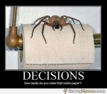 deciions-toilet-paper-spider-photo-meme.jpg