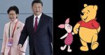 carrie-lam-piglet.jpg