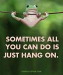 FB_IMG_1587648251726.jpg