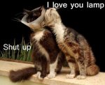 funny-animal-captions-002-017.jpg