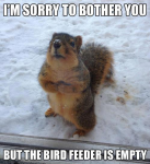 funny-animal-meme-3-1-01-4-6-7-8-9-0-2.png