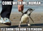 funny-animals-8.jpg