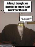 Funny-star-wars-comedy-25550463-382-512.jpg