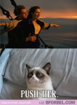 grumpy-cat1.jpg