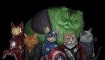 KittyAvengers.jpg