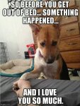 funny-animals-417.jpg