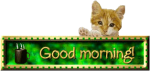 GM Cat (2).png