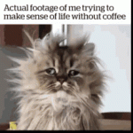 LifeWithoutCoffee.gif