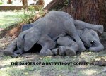 sleepyelephants.jpg