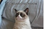 ThingsILikeGrumpyCatMeme.jpg